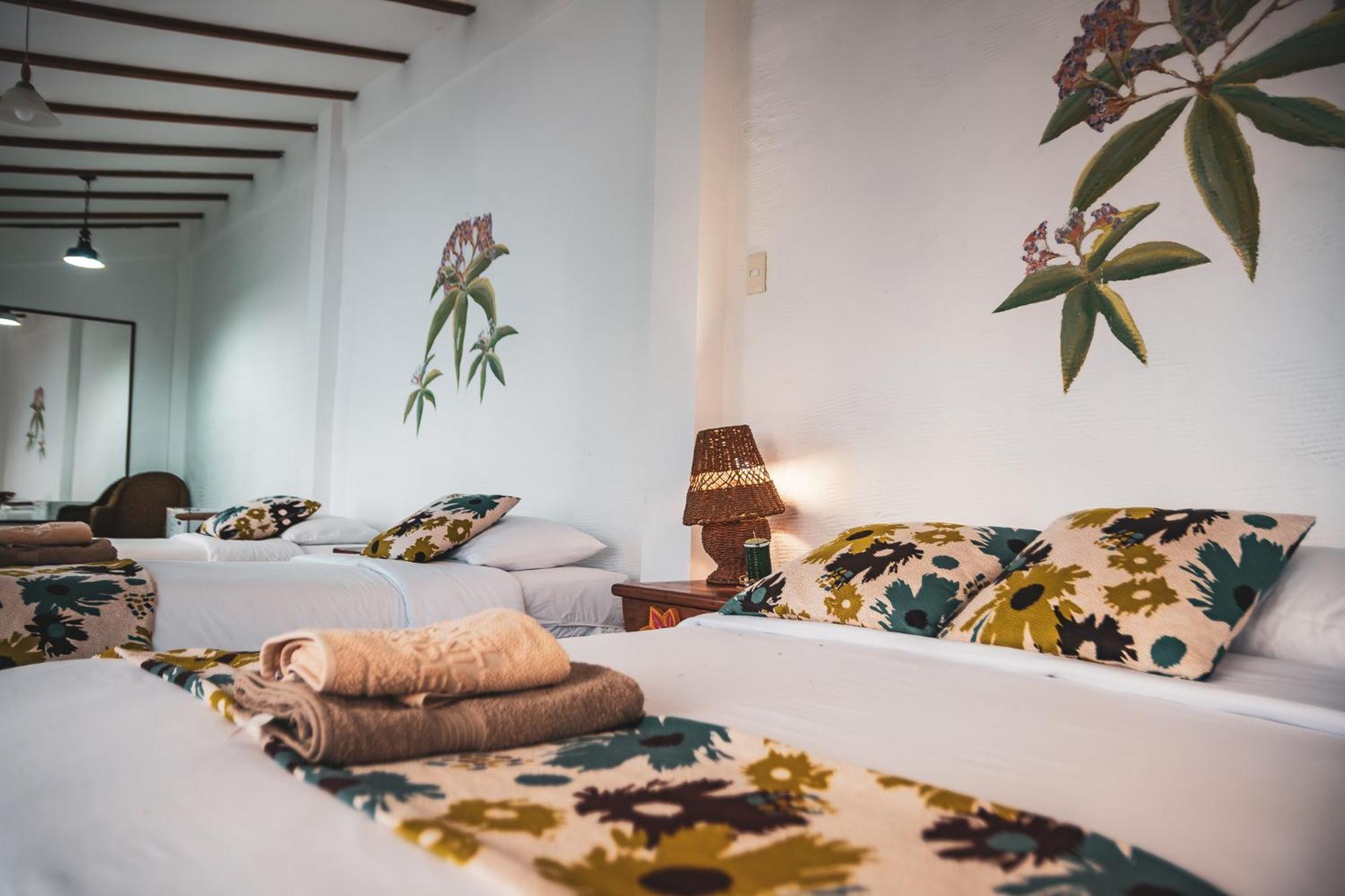 Hotel Miconia 푸에르토 바케리조 모레노 외부 사진